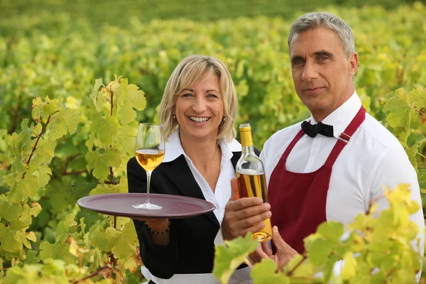 Wine growers on their crops — Stock Photo, Image