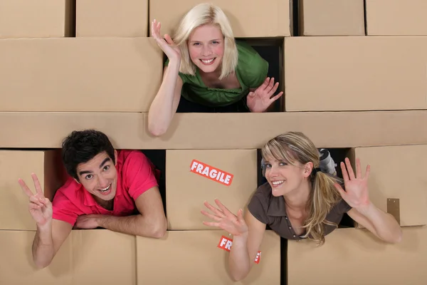 Tres rodeados de cajas — Foto de Stock