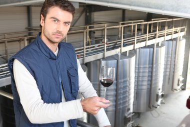 Producer in wine warehouse clipart