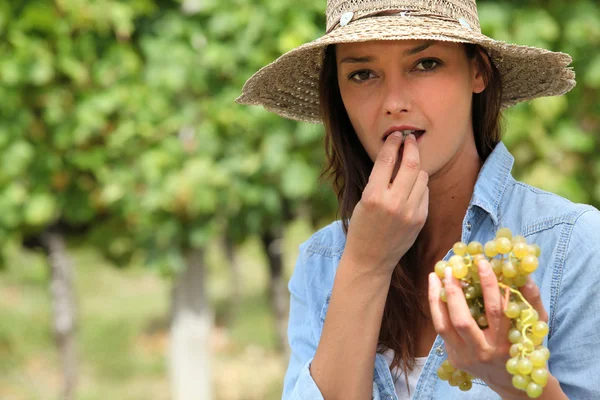 Mulher comendo um monte de uvas no campo — Fotografia de Stock