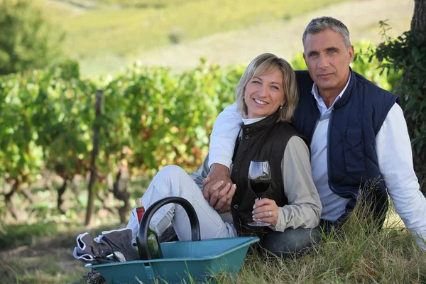 Casal de viticultores radiantes posando em vinhas — Fotografia de Stock