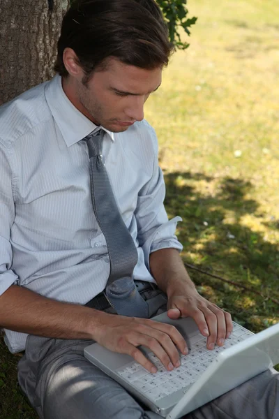 Бизнесмен использует ноутбук под деревом — стоковое фото