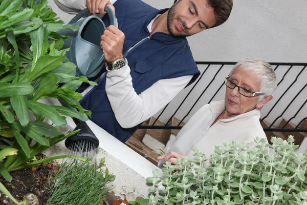 若い男が年上の女性が付いている植物に水をまく — ストック写真