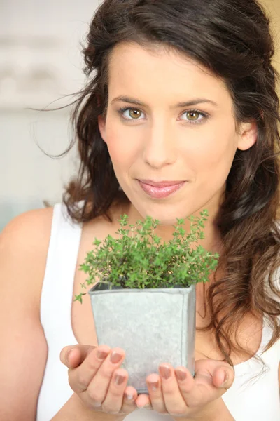 Young woman with herb — Stock Photo, Image