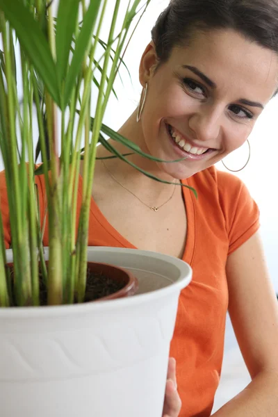 Donna che si prende cura delle piante — Foto Stock