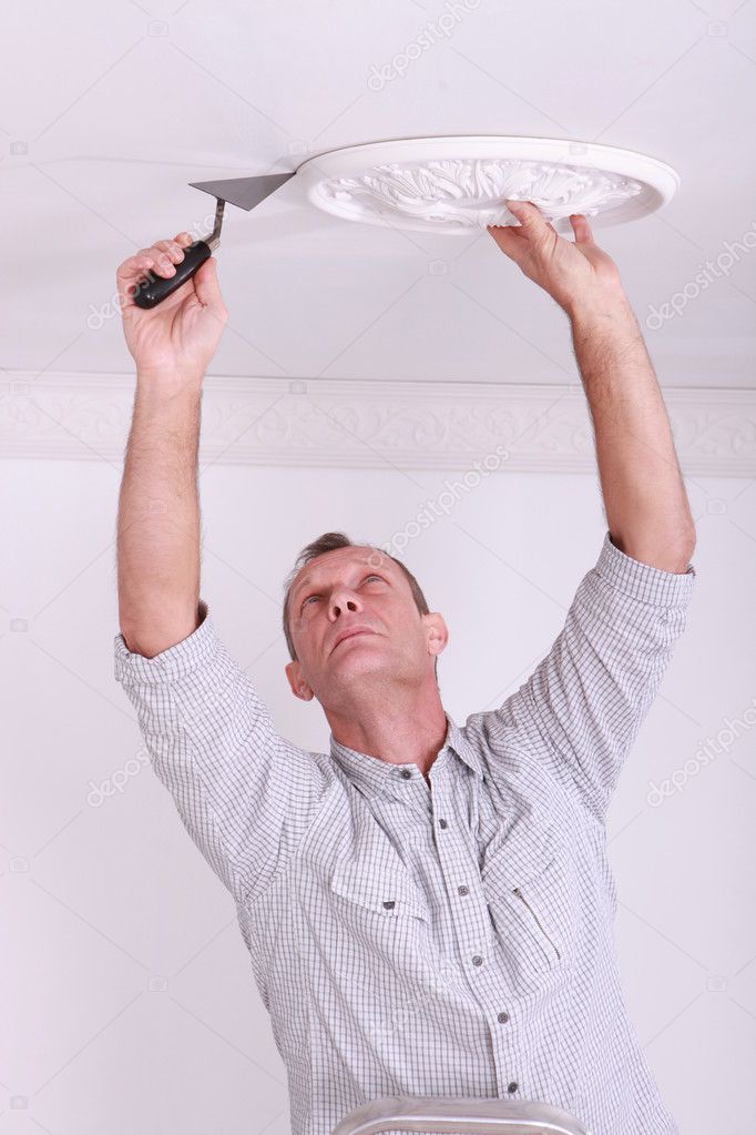 Man Fitting A Ceiling Rose Stock Photo C Photography33 7912472