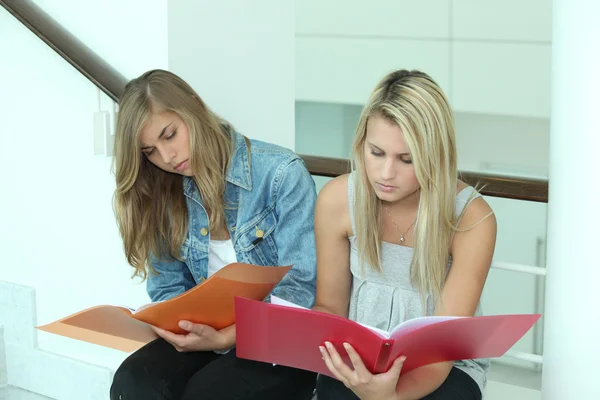 Dwie studentki, przeglądając foldery pracy — Zdjęcie stockowe