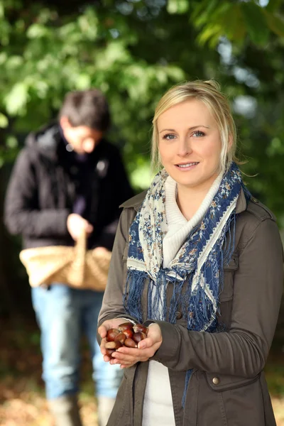 Couple gathering chestnuts — Stock Photo, Image