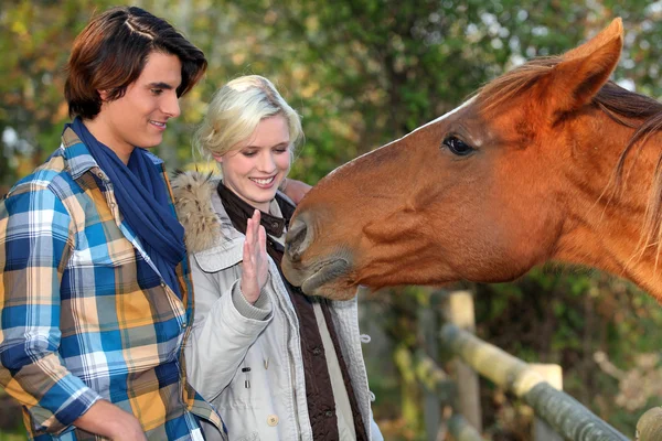 Um casal e um cavalo pedindo carícia — Fotografia de Stock