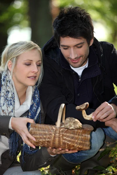 30-jährige Frau und Mann sammeln Pilze — Stockfoto