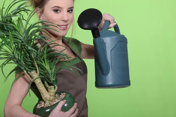 Женщина поливает растения — стоковое фото
