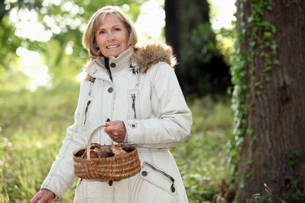 Senior vrouw verzamelen paddestoelen in het bos — Stockfoto