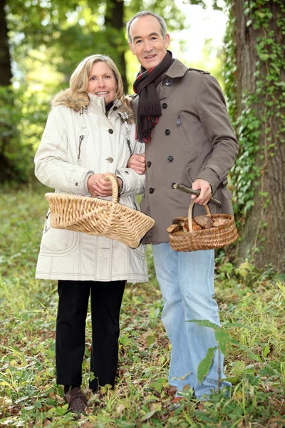 Ehepaar sammelt wilde Pilze — Stockfoto