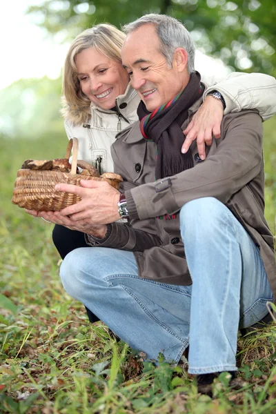 Vecchia coppia guardando un cestino di vimini di funghi in campagna — Foto Stock
