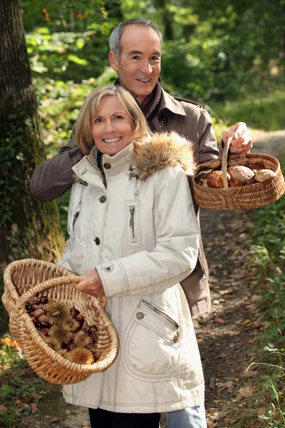 Couple gathering mushrooms in a forest — Stock Photo, Image