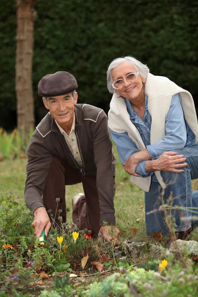 Jardinería de pareja mayor — Foto de Stock