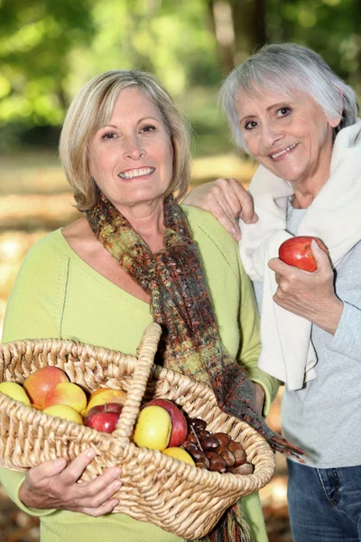 收集栗子和苹果的妇女 — 图库照片