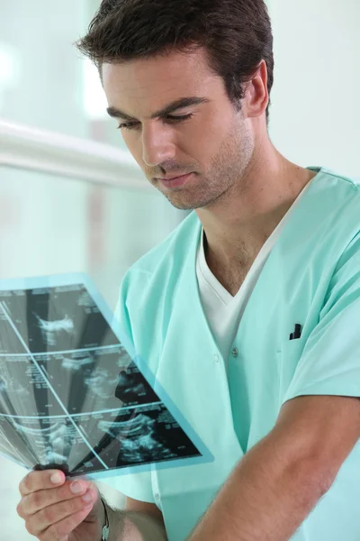 Médico examinando um raio-x — Fotografia de Stock