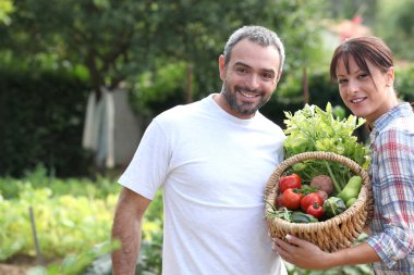 A couple taking care of their vegetable garden. clipart