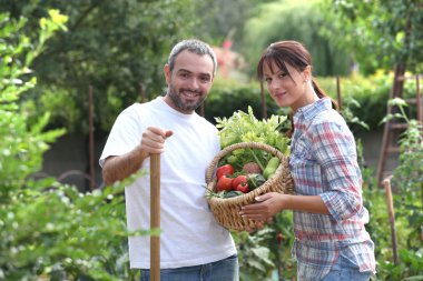 Couple stood in garden with vegetables clipart