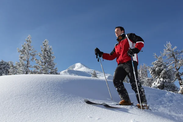 Человек катается на лыжах в солнечный день — стоковое фото