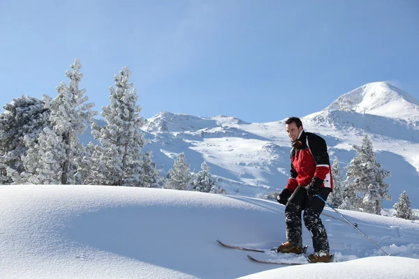 Hombre esquí de fondo —  Fotos de Stock