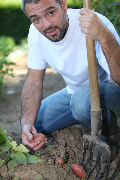 Man gardening — Stok fotoğraf