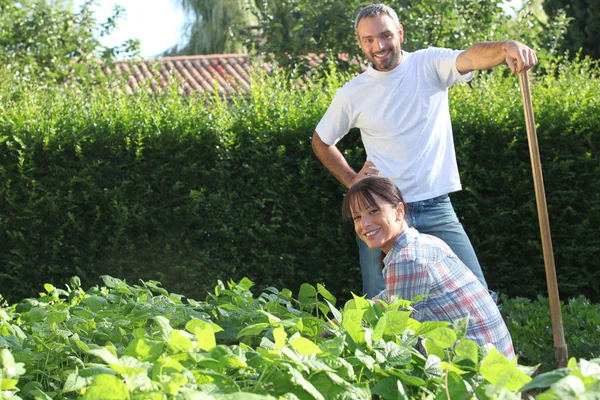 Ein nettes Paar bei der Gartenarbeit. — Stockfoto
