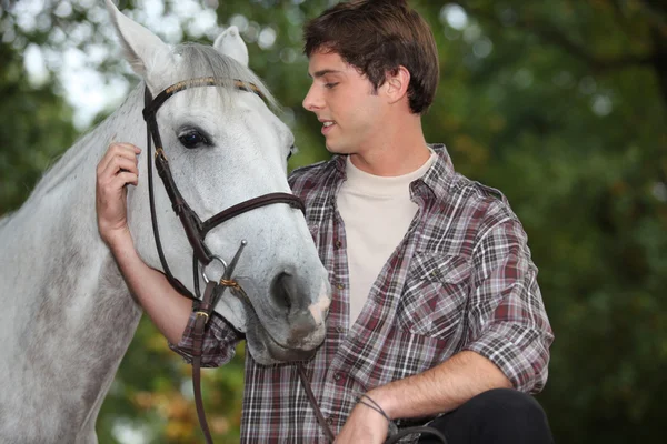 Ember, ló gondozása — Stock Fotó