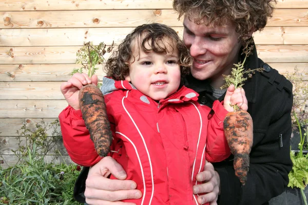Vader van een zoon plukken wortelen — Stockfoto