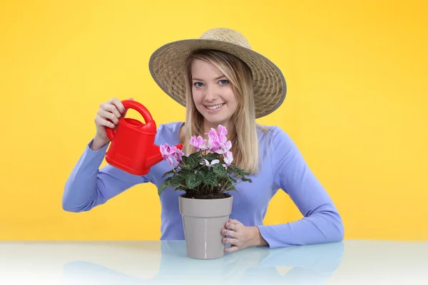 Donna che annaffia una pianta di vaso — Foto Stock