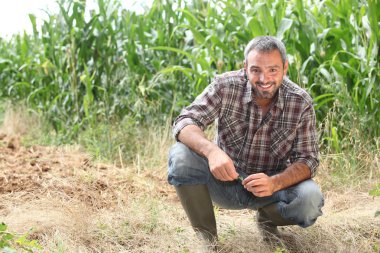 Farmer kneeling by crops clipart