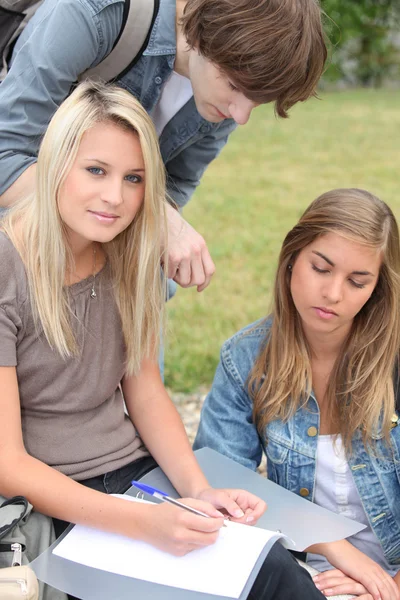 Drie studenten studeren in het park — Stockfoto