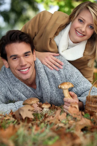 Casal apanhando cogumelos selvagens — Fotografia de Stock