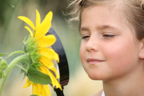 Kind untersucht Sonnenblume mit der Lupe — Stockfoto