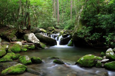 Cascading mountain stream clipart