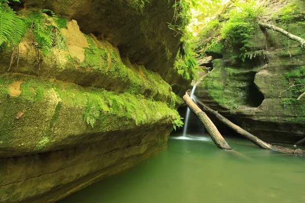 Cachoeira dois logs — Fotografia de Stock