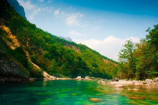 Río Piva (Montenegro) ) Imagen de stock