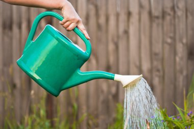 Watering the crops clipart