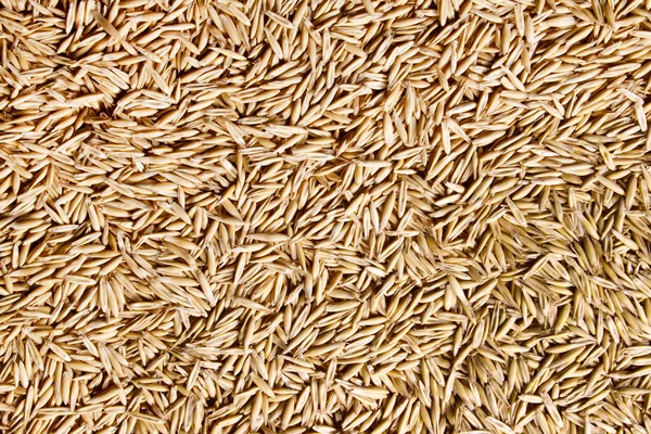 Background of oats Royalty Free Stock Photos