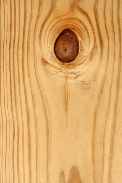 Bliska budowa drewna — Zdjęcie stockowe