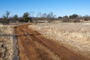 Dirt Road in West Texas clipart