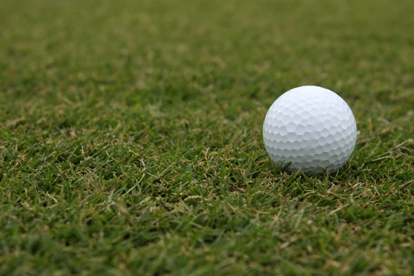 Golflabda a fűben — Stock Fotó