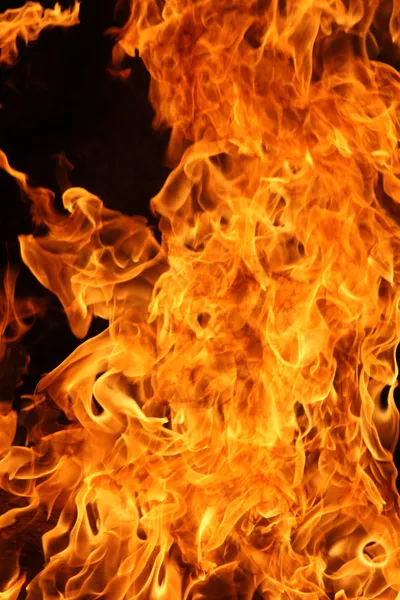Las llamas de un fuego —  Fotos de Stock