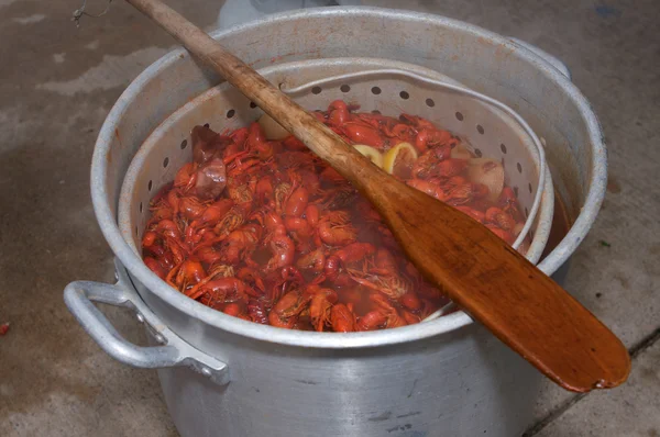 螯虾煮与搅拌桨 — 图库照片