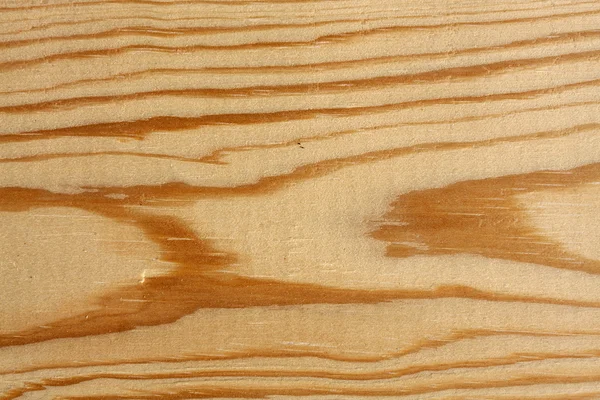 Macro close-up de madeira — Fotografia de Stock