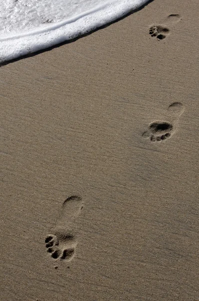Passos na areia — Fotografia de Stock