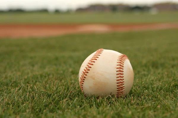 풀 속의 야구 — 스톡 사진
