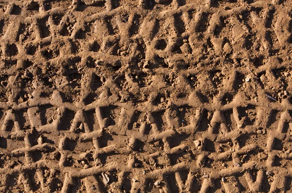 ATV däck spår i leran — Stockfoto
