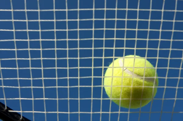 Tennis Ball on Racket Strings — ストック写真